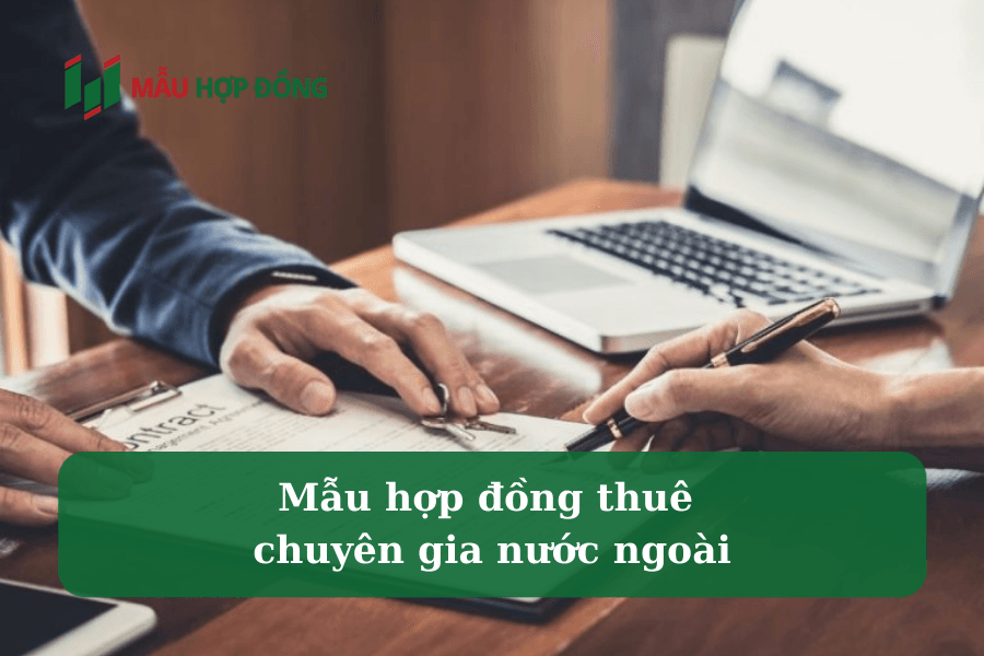 Hợp đồng thuê chuyên gia nước ngoài