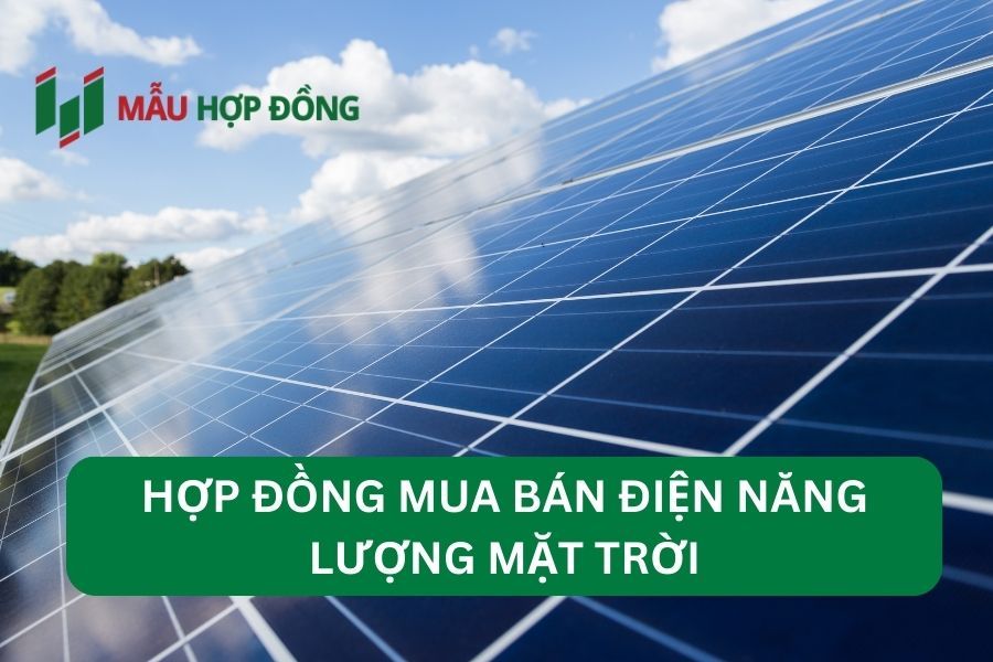 hợp đồng mua bán điện năng lượng mặt trời